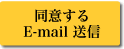 ӂFE-MailM